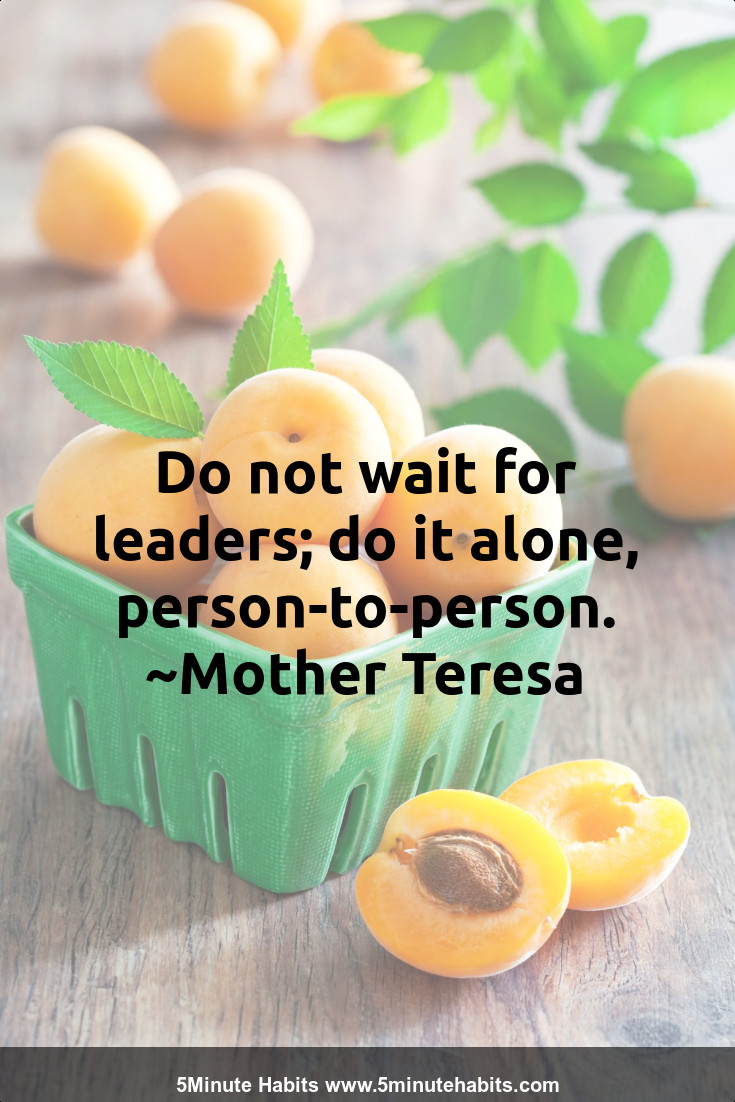 Do not wait for leaders; do it alone, person-to-person. ~Mother Teresa